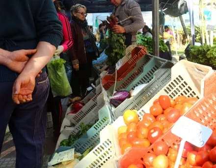 Precios de verduras y frutas en alza y los productores al borde del colapso